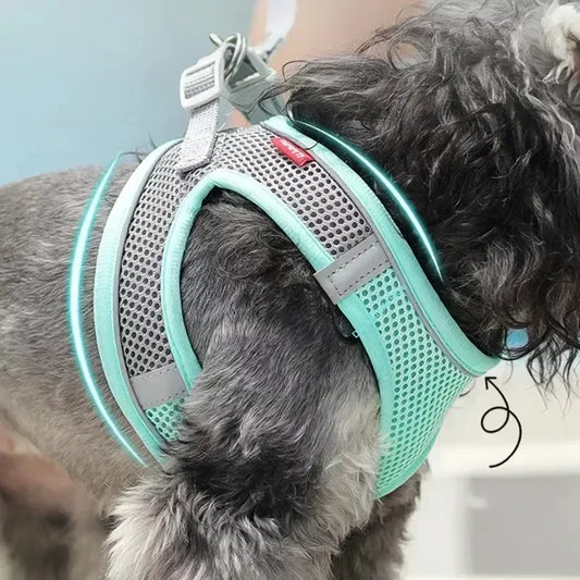 No-Pull Reflective Puppy Harness & Leash Set