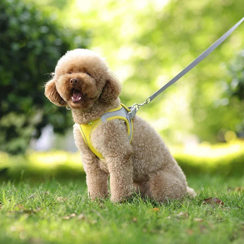No-Pull Reflective Puppy Harness & Leash Set