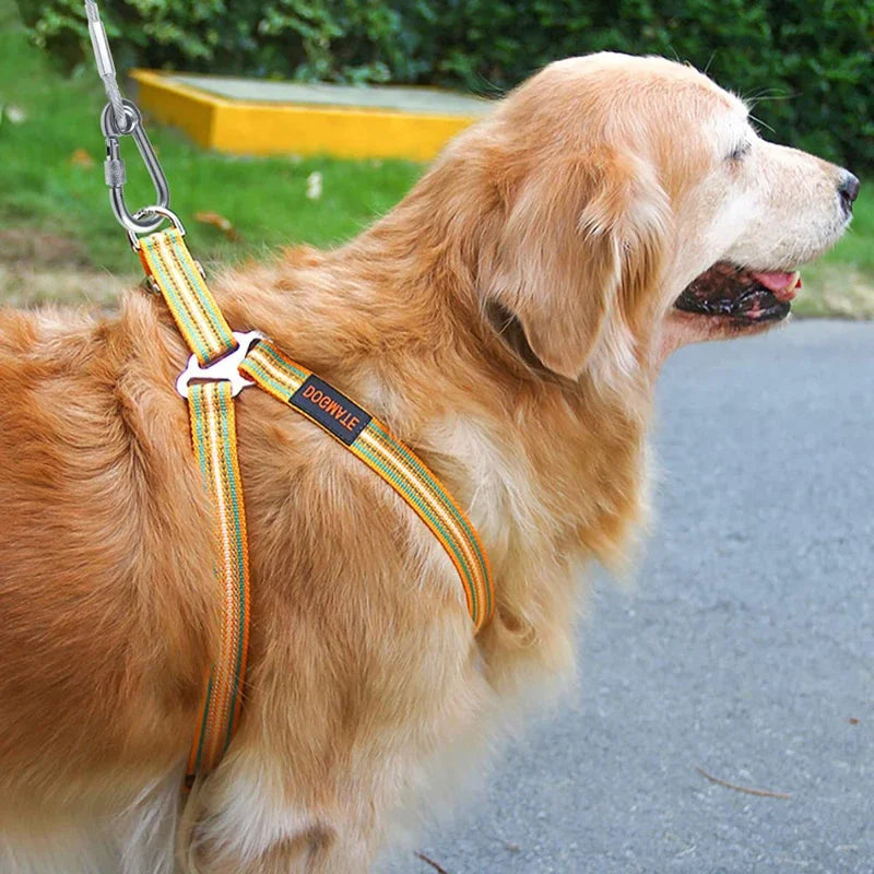 Stainless Steel Double-Headed Dog Tie-Out Cable Leash