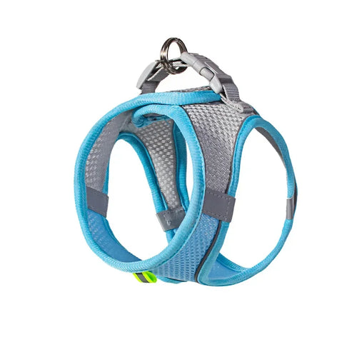 No-Pull Reflective Puppy Harness & Leash Set