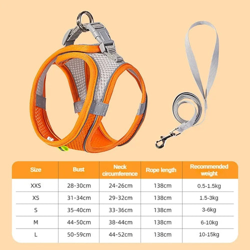 No-Pull Reflective Puppy Harness & Leash Set