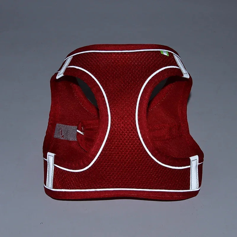 No-Pull Reflective Puppy Harness & Leash Set