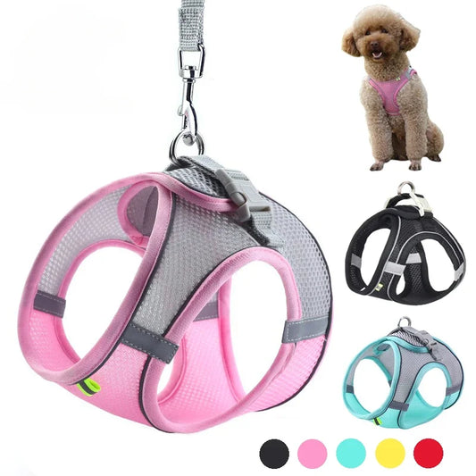 No-Pull Reflective Puppy Harness & Leash Set
