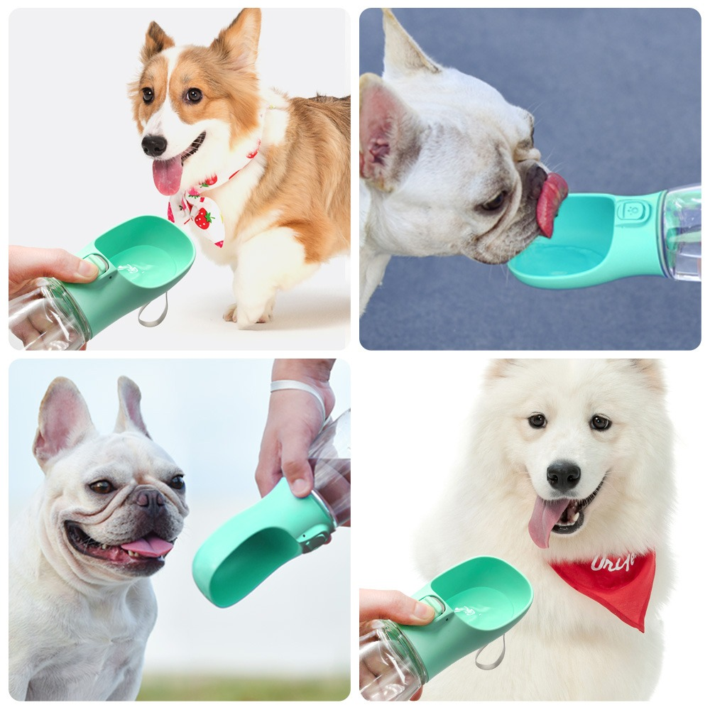 Portable Pet Water Bottle & Bowl — On-the-Go Travel Dispenser